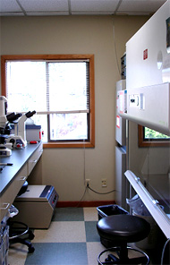 Icogenex Bioincubator, 2nd Floor Lab