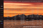 Washington Life Science Genealogy 2019 poster